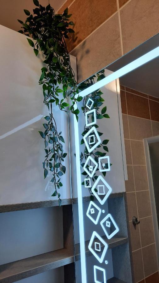 Vrnjačka Banja Apartman Modena Lux מראה חיצוני תמונה