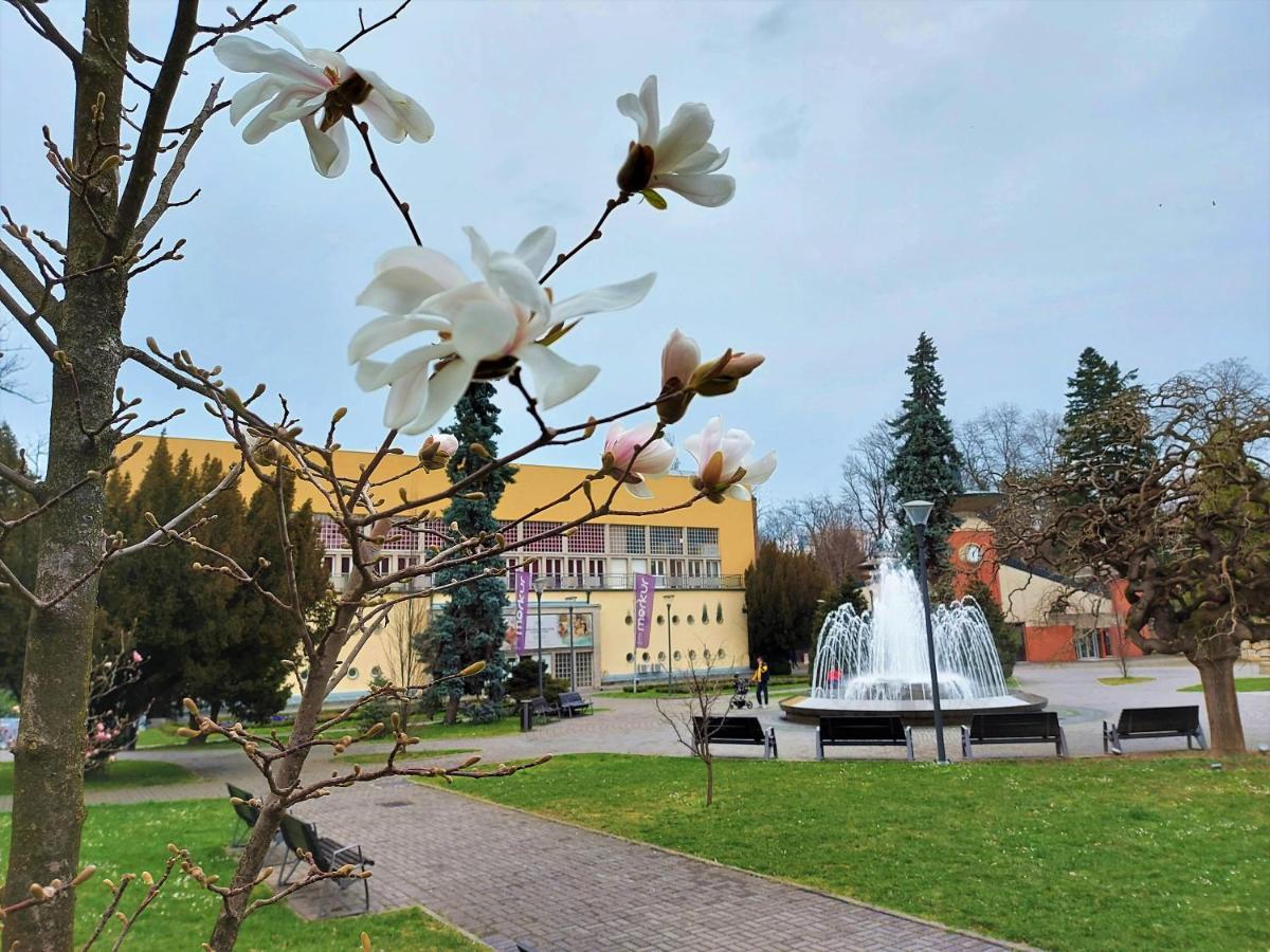 Vrnjačka Banja Apartman Modena Lux מראה חיצוני תמונה